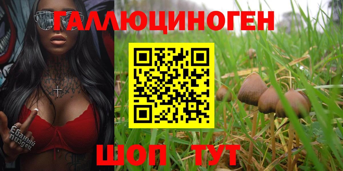 Пенза  Псилоцибиновые грибы ЛСД  Псилоцибиновые грибы GOLDEN TEACHER  Вход с VPN 
