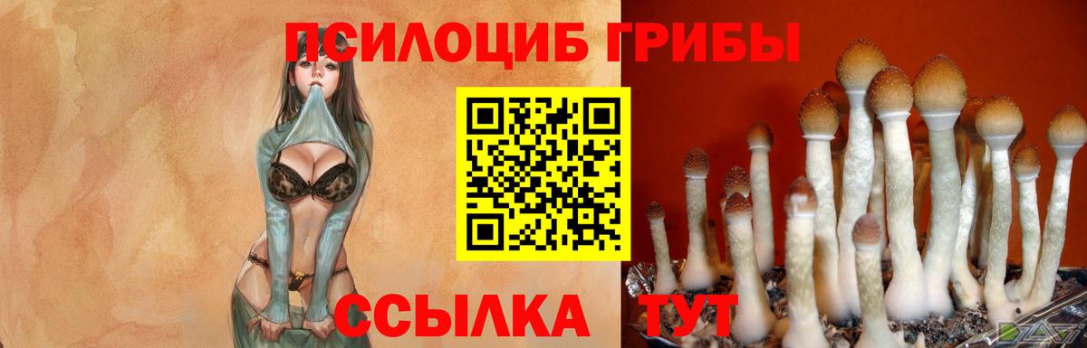 Псилоцибиновые грибы Magic Shrooms Пенза